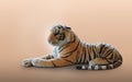 Side view orange and black and white tiger look and lying on cream and brown background, animal, cute, object, decor, fierce, copy