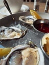 Side view of oysters in a plate with ice