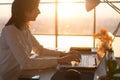 Side view photo of a female programmer using laptop, working, typing, surfing the internet at workplace. Royalty Free Stock Photo