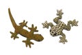 Stuffed toys of a light brown frog with dark brown spots and patches and a dirty green scaly gecko