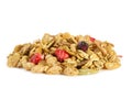 Organic Cereal with Dried Fruit