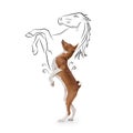 Side view portrait of cute playful Basenji dog in motion isolated over white background. Big and small. Royalty Free Stock Photo