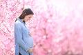 Pregnant woman looking at belly in a pink flowered field