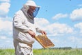 Senior Beekeeper Collecting Honey