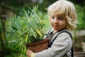 Portrait of small boy with eczema standing outdoors, holding potted plant.