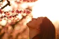 Woman silhouette smelling flowers at sunset Royalty Free Stock Photo