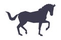 Side View of Racing Horse Silhouette, Racing, Derby, Equestrian Sport Vector Illustration
