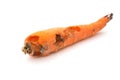 Side view rotten carrot bited by insect on white background
