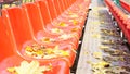 Side view of rows of red color chairs with yellow autumn leaves on them. Royalty Free Stock Photo