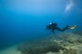 Side view of scuba diver underwater Royalty Free Stock Photo