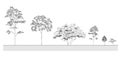 Side view, set of graphics trees elements outline symbol for architecture and landscape design drawing. Vector illustration Royalty Free Stock Photo