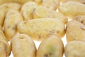 Small yellow gourmet potatoes