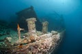 Side view of the shipwreck SS Thistlegorm.