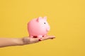 Side view shot of woman hand holding pink piggy bank, investment, saving money, currency, deposit. Royalty Free Stock Photo