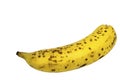 Side View of Single Banana with Spotted Peel