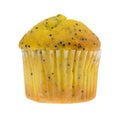 Bite size lemon poppy seed muffin Royalty Free Stock Photo