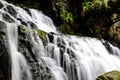 Side view small waterfalls, milky water on dark stone from a hill with fern or vascular plants and peat moss Royalty Free Stock Photo
