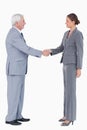 Side view of smiling businesspartner shaking hands Royalty Free Stock Photo