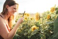 Side view of smiling young woman photographing sunflower plant using smartphone in farm on sunny day Royalty Free Stock Photo