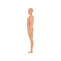 Side view spleen human body icon, flat style