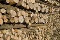 Stack of cut logs for firewood Royalty Free Stock Photo