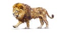 Side view of a standing Lion, isolated on white background low poly 3d art