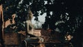 Side view statue of Buddha at Wat Mahathat, Ayutthaya historical park, Thailand.