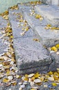 Side view of the steps of the old gray stone blocks Royalty Free Stock Photo