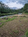 side view of stingray farm and river