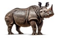 Side view of Sumatran rhino Generative AI