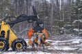 Small stand-on mini skid steer with grapple full of wooden logs Royalty Free Stock Photo