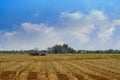 Side view tractor hauls straw in the white clouds and blue sky background, nature, copy space