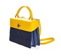 Trendy handbag for ladies on white