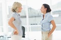 Side view of two businesswomen fighting Royalty Free Stock Photo