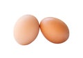 Side view of two fresh brown chicken eggs in stack isolated on white background with clipping path Royalty Free Stock Photo