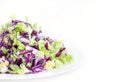 Side view vegan mix salad of fresh red and green cabbage on a white background close-up Royalty Free Stock Photo