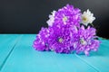 side view of violet and white color chrysanthemum flowers bouquet isolated on blue wooden background Royalty Free Stock Photo