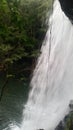 Side view of waterfall and rain forest