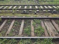 Side view of weeds in railroad with railroad sleepers Royalty Free Stock Photo