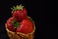 Red strawberries with drops in small basket on black background Royalty Free Stock Photo