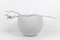 Side view of a white and round glas bowl with a dry and white painted twig on top, shot on white and uniform background, Royalty Free Stock Photo