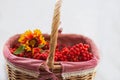 Side view. wicker basket full of red rowan berries with a yellow flower on a white background Royalty Free Stock Photo