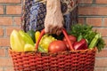 Woman in a colorful skirt with one hand holding a red basket full of vegetables Royalty Free Stock Photo