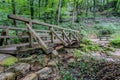 Side view of a wooden bridge over a stream with water flowing through the thicket