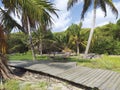 Side view of wooden plank walkway with bench shaded by tropical palm trees. Caribbean Landscape and Nature Royalty Free Stock Photo