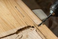 Handyman drilling a hole in oak plank