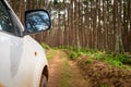 Side view of a 4x4 jeep or truck on a dirt track, heading into the pine forest