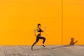 Side view of young attractive sporty woman wearing black sporwear practicing sport exercises in morning on street, start to run Royalty Free Stock Photo