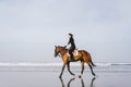 side view of young female equestrian riding horse on sandy