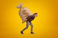 Side view of young handsome man in casual clothes carrying huge heavy sack with dollar symbol on. Royalty Free Stock Photo